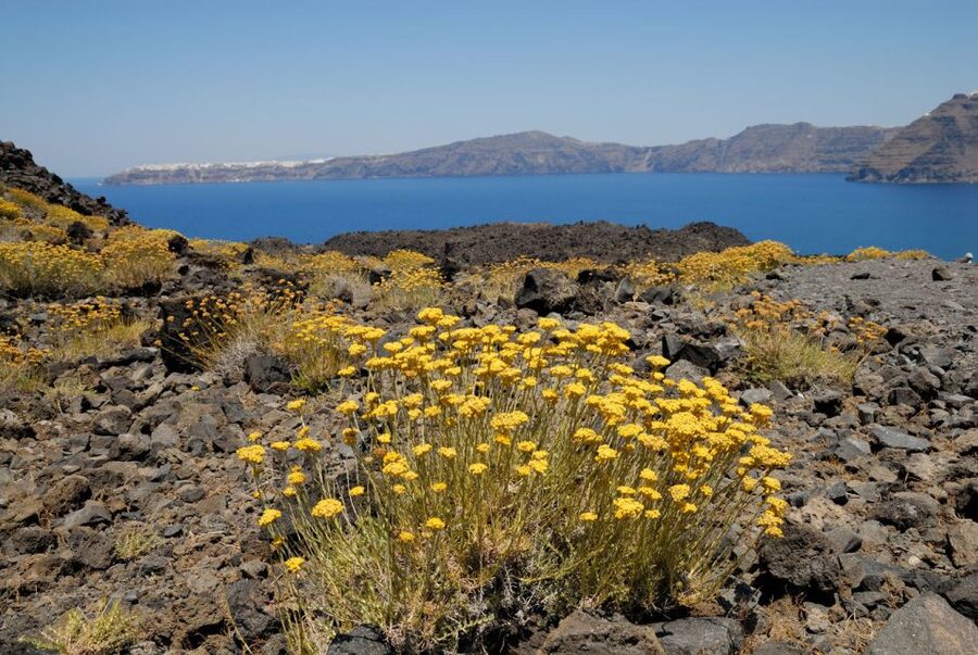 1-Day Boat Trip: Santorini Volcano, Thirassia & Oia Sunset - Oia at sunset, beautiful and crowded