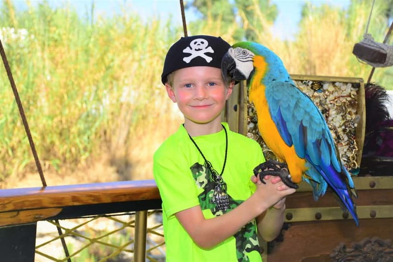 Alanya: Party Pirate Boat Trip w/Meal, Drinks, Pickup Option - Who will enjoy this Alanya boat trip?