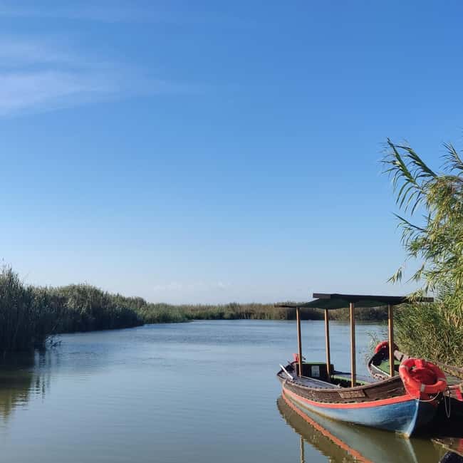 Albufera de Valencia: boat ride and visit to a barraca - Key points to know before you go