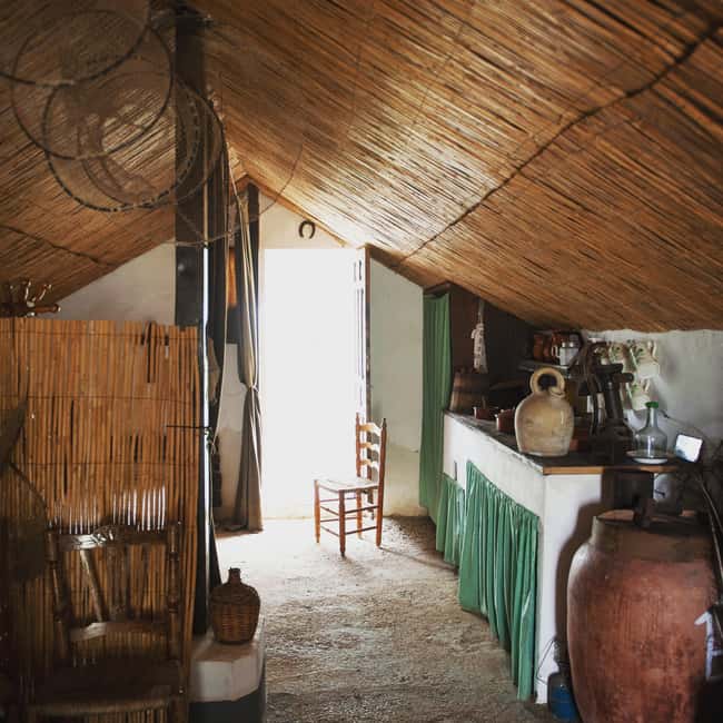 Albufera de Valencia: boat ride and visit to a barraca - Rice fields, birds, and the value of a slow pace