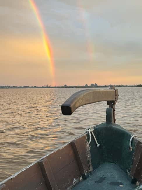 Albufera Valencia: Guided electric boat ride, also at sunset - Why the Albufera is worth seeing from the water