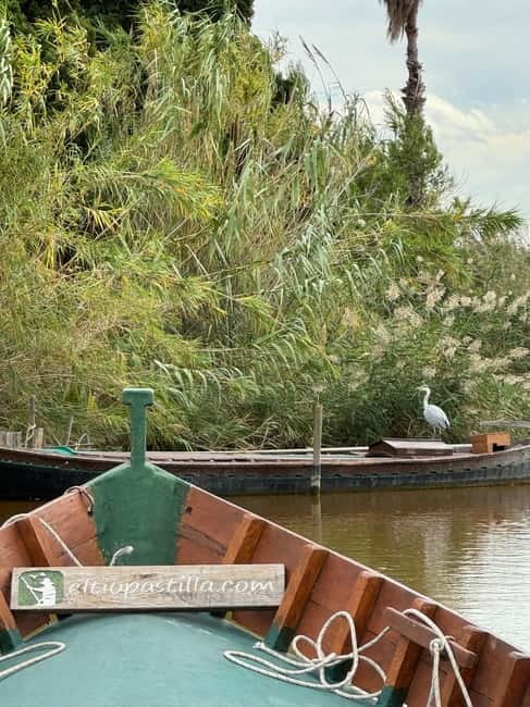 Albufera Valencia: Guided electric boat ride, also at sunset - Starting at El Tío Pastilla Pier