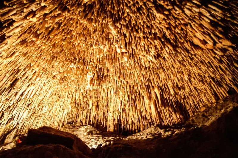 Alcudia: Caves of Drach Tour from the North with Boat Trip - The 300 steps deserve serious planning