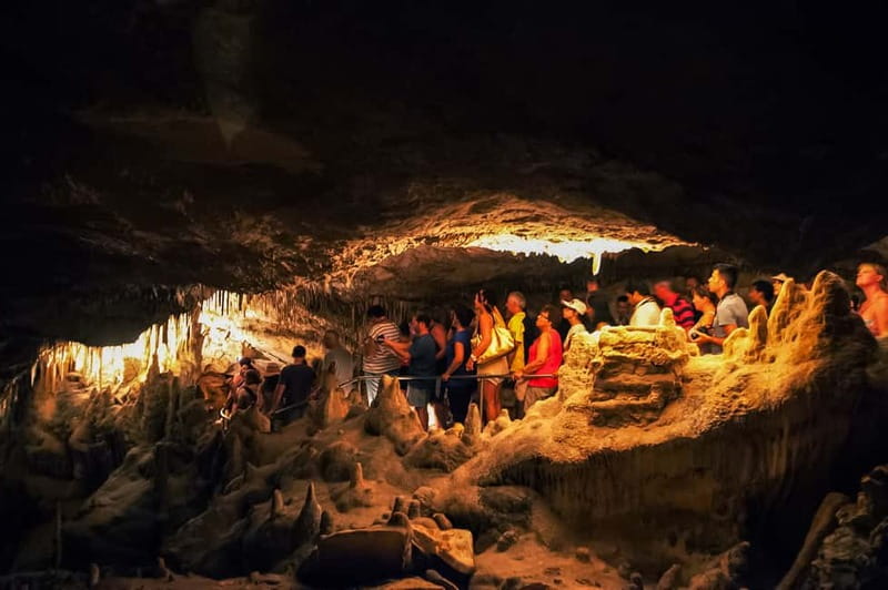 Alcudia: Caves of Drach Tour from the North with Boat Trip - Porto Cristo and the question of half-day versus full-day