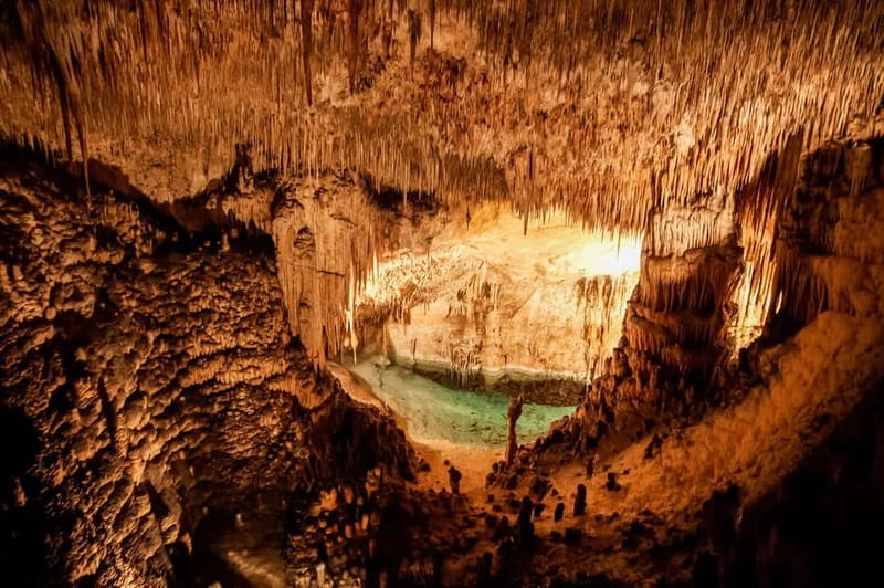 Alcudia: Caves of Drach Tour from the North with Boat Trip - Food, coffee, and time after the caves