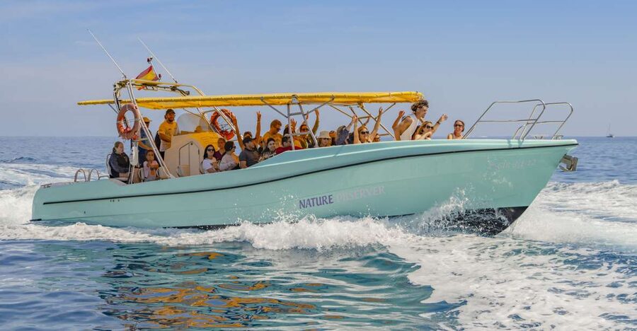 Alcudia: Coll Baix Beach & Sea Caves Cruise with Snorkeling - Key points at a glance
