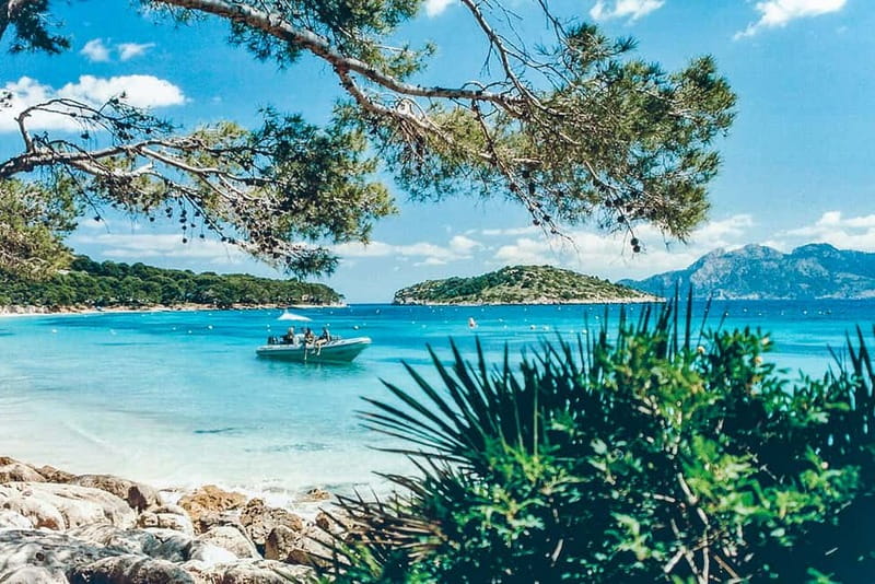 Alcudia: Formentor Beach, Lighthouse Cruise, and Small Group - Key points to know before booking