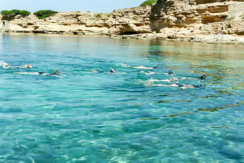 Alcudia: Formentor Beach, Lighthouse Cruise, and Small Group - Cala Murta and the wild coast near Formentor