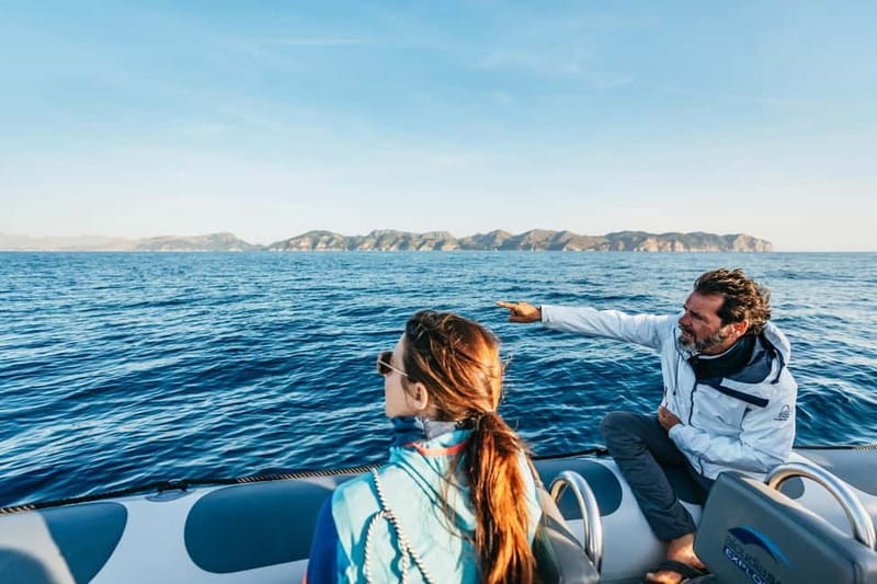 Alcudia or Can Picafort: Dolphin-Watching Cruise - Key points to know before booking