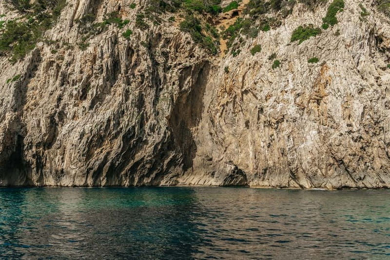 Alcudia or Can Picafort: Dolphin-Watching Cruise - Who will enjoy this cruise most?