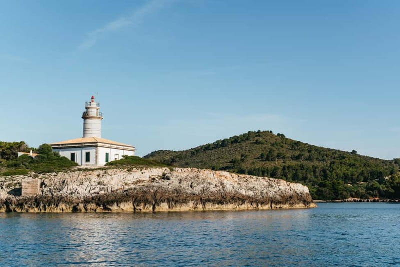 Alcudia or Can Picafort: Dolphin-Watching Cruise - Setting out from Port d’Alcudia