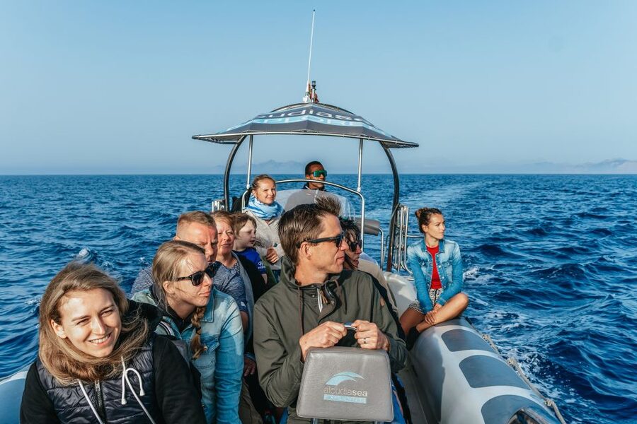 Alcudia or Can Picafort: Dolphin-Watching Cruise - Cabo Formentor and the coastal cliffs