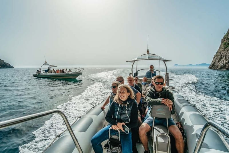 Alcudia or Can Picafort: Dolphin-Watching Cruise - Sunrise or afternoon departure?