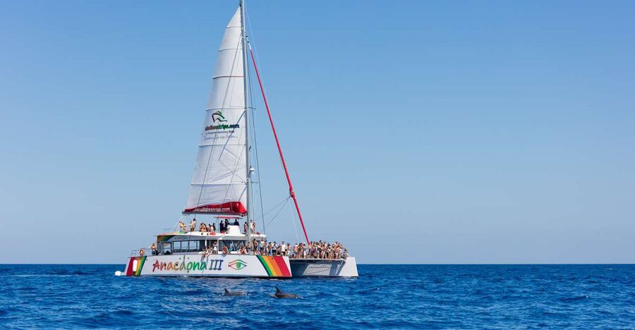 Alcudia: Sunset Catamaran Tour with Dinner and Snorkeling - Key points at a glance