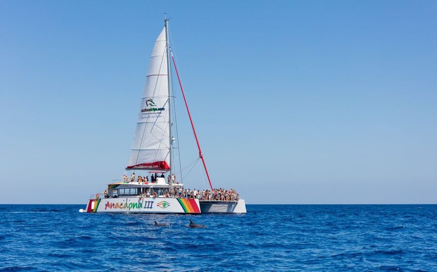 Alcudia: Sunset Catamaran Tour with Dinner and Snorkeling - Sailing north from Alcudia