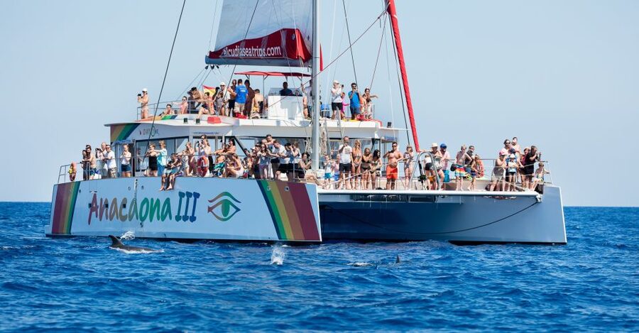 Alcudia: Sunset Catamaran Tour with Dinner and Snorkeling - Swimming, kayaking, and snorkeling