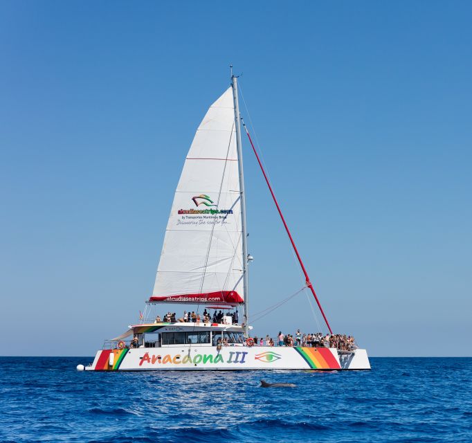 Alcudia: Sunset Catamaran Tour with Dinner and Snorkeling - What the $77 price really covers