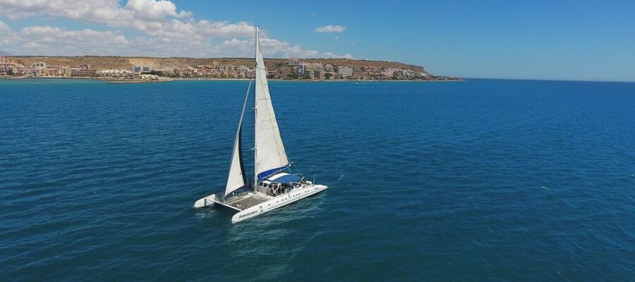 Alicante: 6-Hour Catamaran Cruise to Tabarca Island - Quick points before you book