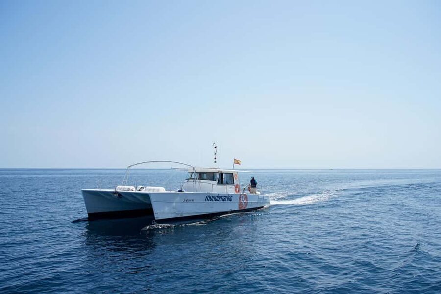 Altea: Boat Tour with Sunset Option - A note about the catamaran ride