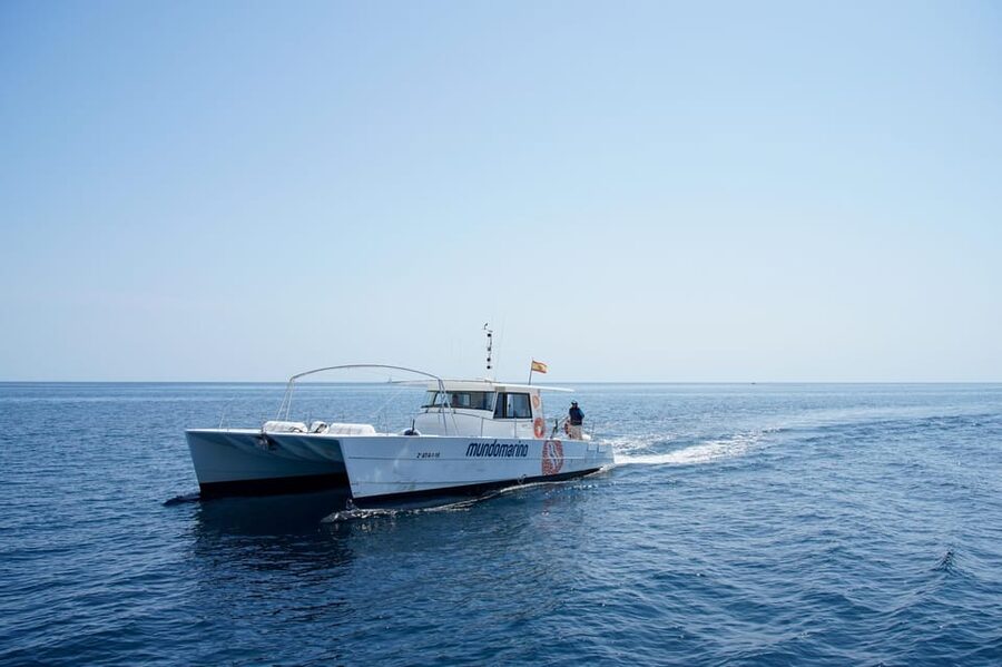 Altea: Boat Tour with Swimming Stop - The swimming stop near a quiet cove