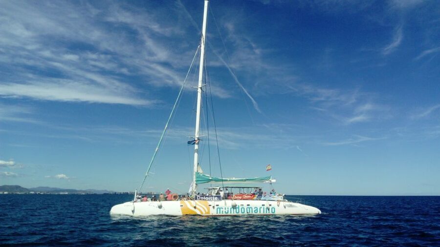 Altea: Boat Tour with Swimming Stop - Meeting Mundo Marino Catamaran at Altea port