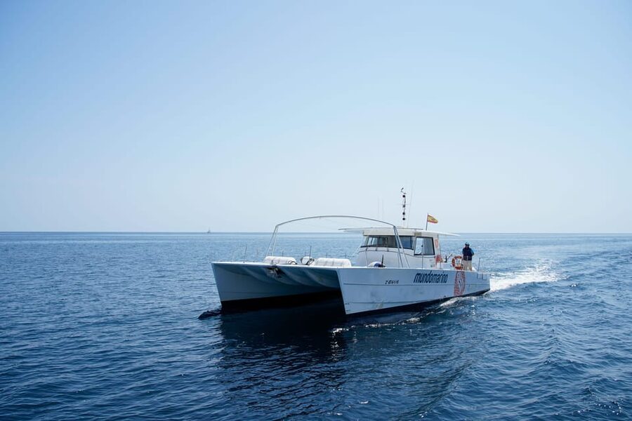 Altea: Motor catamaran with optional lunch and swimming stop - The swimming stop near the Bay of Albir