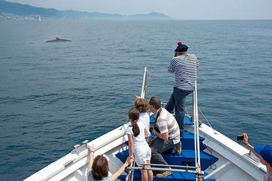 Aquarium of Genoa Ticket and Whale Watching Cruise - Boarding beside the aquarium