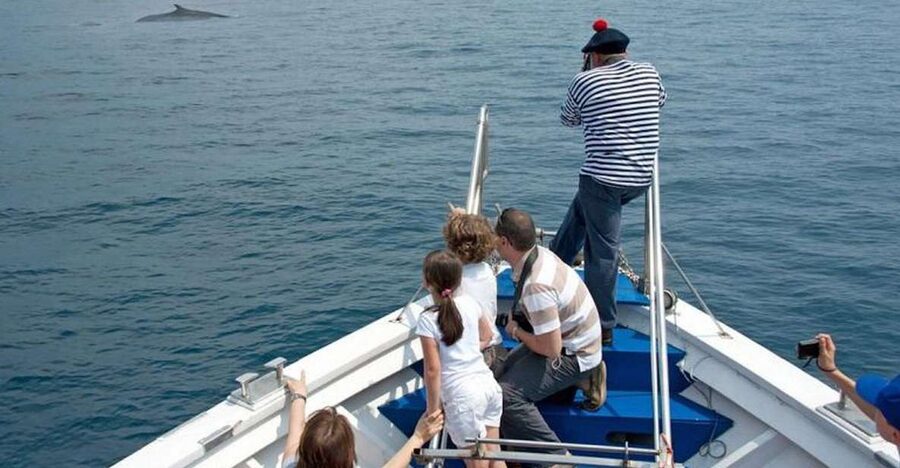 Aquarium of Genoa Ticket and Whale Watching Cruise - Inside the Aquarium of Genoa