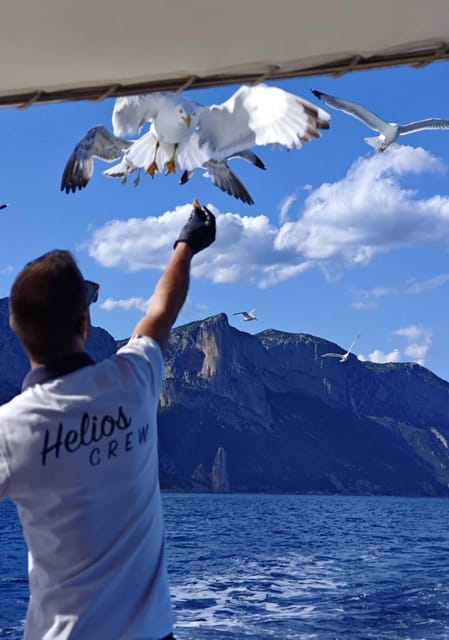 Arbatax: Gulf of Orosei Day Tour by Boat - Key points at a glance