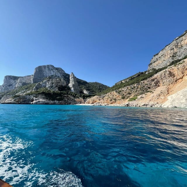 Arbatax: Gulf of Orosei Day Tour by Boat - Who will enjoy this day most