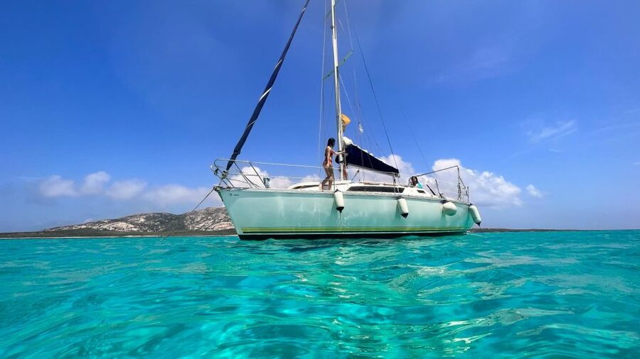 Asinara: Full Day Sailboat Excursion from Stintino - Key points to know before you book