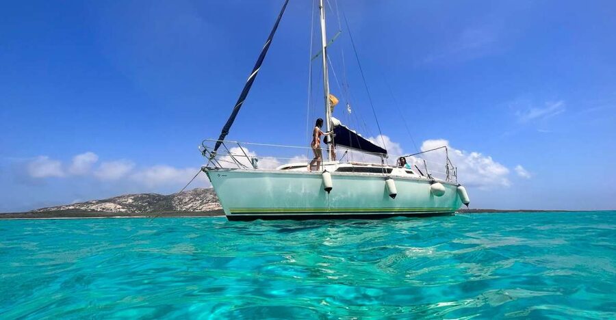 Asinara: Full Day Sailboat Excursion from Stintino - La Pelosa and the coast near Stintino