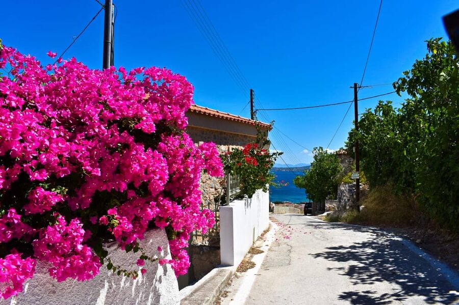 Athens: Agistri, Metopi & Aegina Cruise with Meals & Drinks - Starting at Marina Zeas