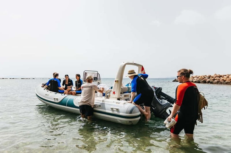 Athens, Nea Makri: Guided Small Group Snorkeling Boat Trip - The real value of the $100 price