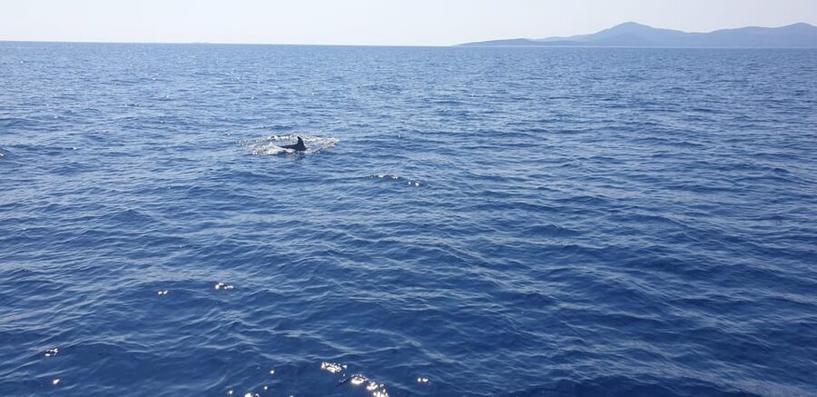 Athens: Riviera Catamaran Tour with Fresh Meal and Drinks - Swimming at Vouliagmeni and Asteras Bay