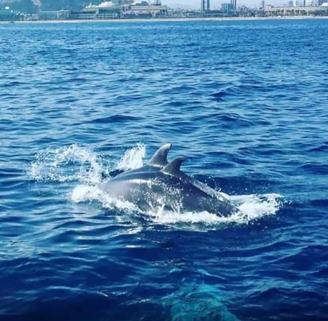 Barcelona: Sailing Tour with Drinks and Snacks - Key points to know before booking