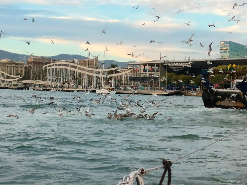 Barcelona: Sunset Cruise with Snacks and Drinks - Key points to know before you book