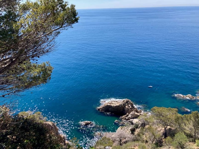 Barcelona: Tossa de Mar & Costa Brava boat, very small group - Who should book this Costa Brava day trip?