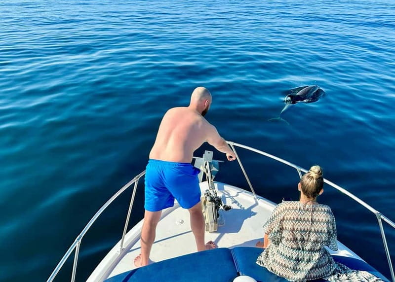 Benalmádena Boat Tour with Snorkeling, Water Slide and Lunch - The First 75 Minutes: Searching for Dolphins