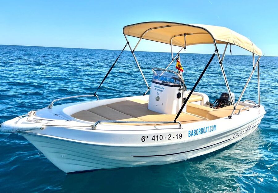 Benalmádena: Costa del Sol License-Free Boat Rental - Cruising for dolphins and marine life