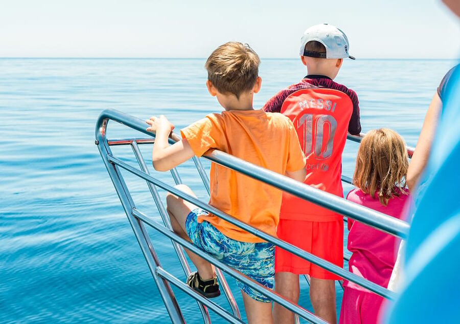 Benalmadena: Dolphin Watching Boat Tour - The possible summer swim