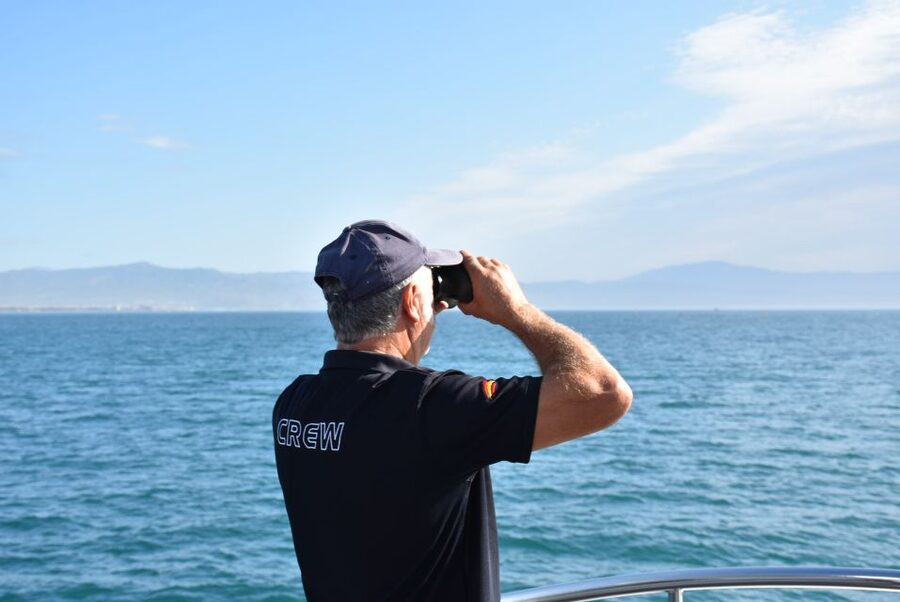 Benalmadena: Dolphin Watching Boat Tour - Is $22 good value?