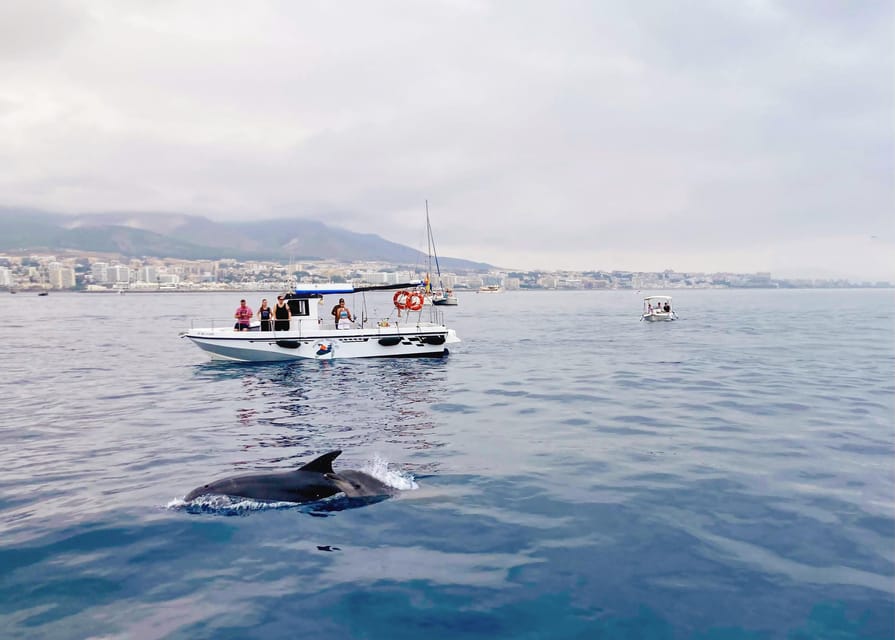 Benalmadena: Private Boat Trip – Dolphins, Drinks & Snacks - Setting off from Benalmadena Port