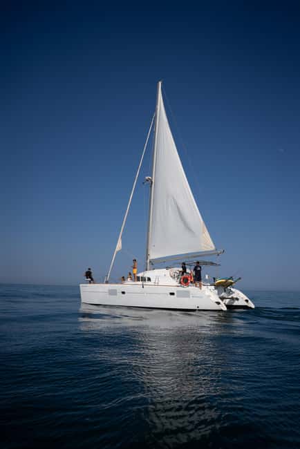 Benalmádena: Sailing & Dolphin Watching with Snacks/Drinks - What the $34 price really buys