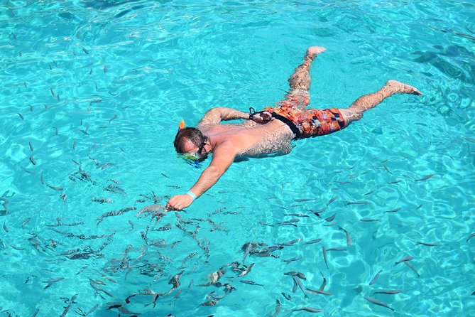 Blue Lagoon, Beaches and Bays Catamaran Sailing Tour - Finding the right jetty in Bugibba