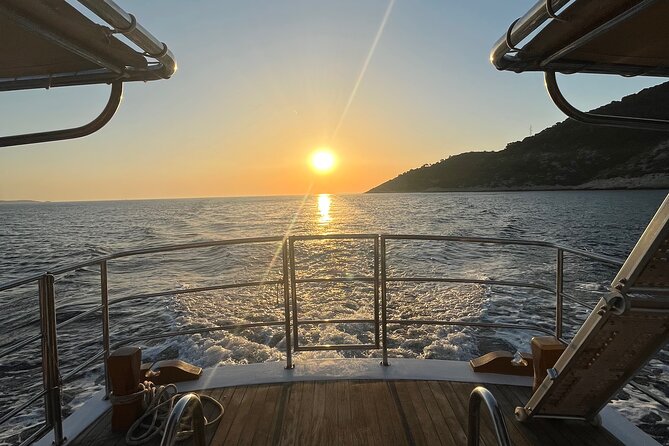 Boat Tour at Delfina Hvar - Timing and practical details at Riva 5