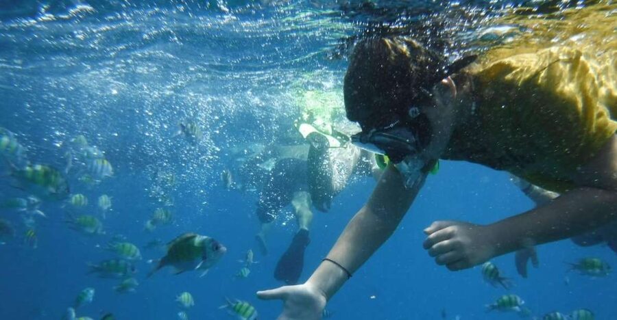 Boat tour from Avola to Portopalo with visit of Marzamemi - Key points before you book