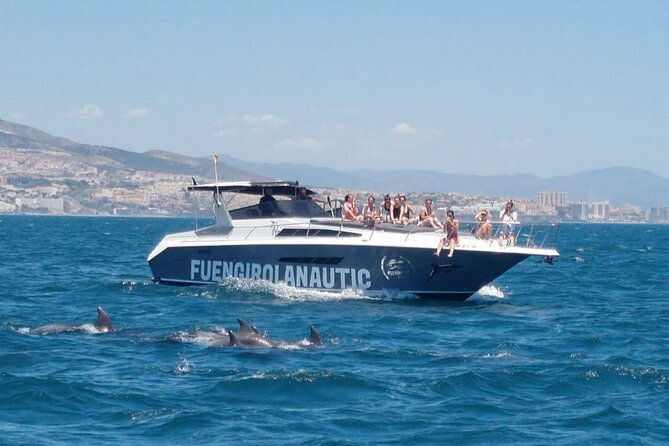 Boat Trip in Fuengirola, Dolphin Watching and Drinks - The dolphin search is the main event