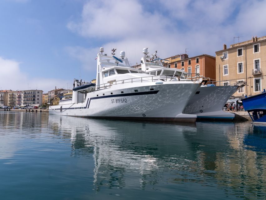 Boat walk in Sete on the singular island 1 hour - Key points at a glance