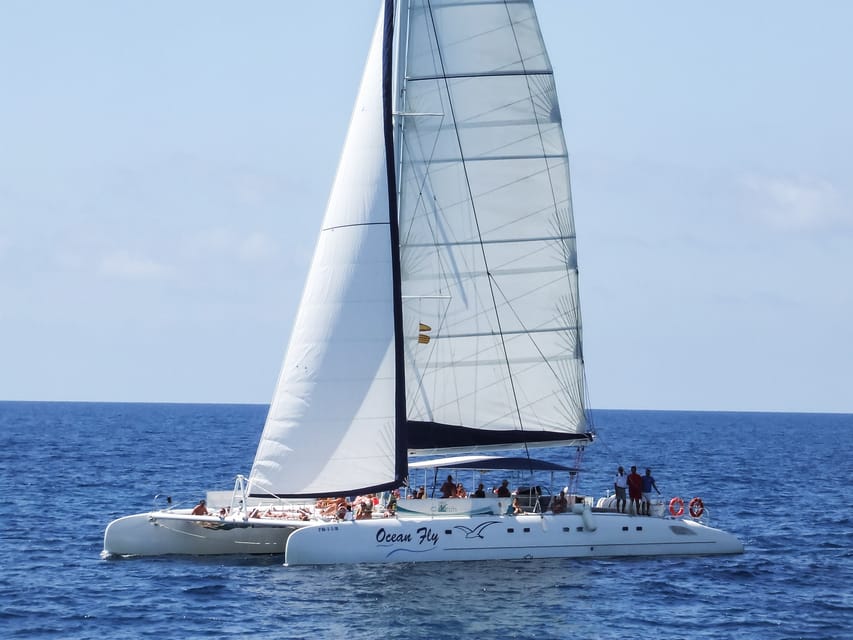 Cambrils: Costa Daurada Sail Catamaran Cruise - Is the advertised $12 price good value?